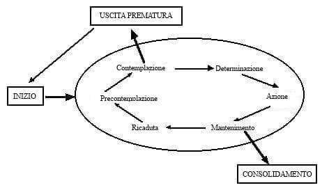 Fasi del modello transteorico del cambiamento