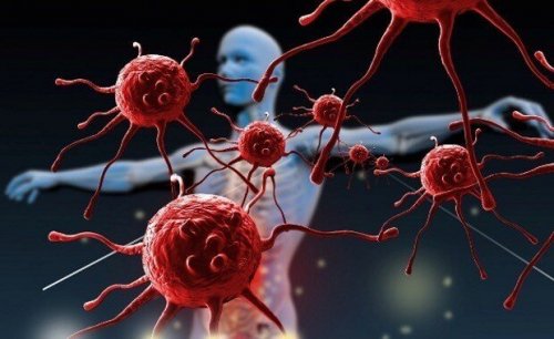 Rafforzare il sistema immunitario: come?