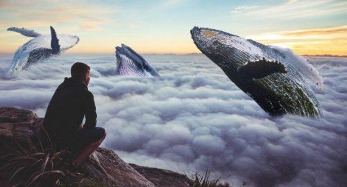 Uomo che guarda un cielo pieno di balene fare qualcosa che spaventa