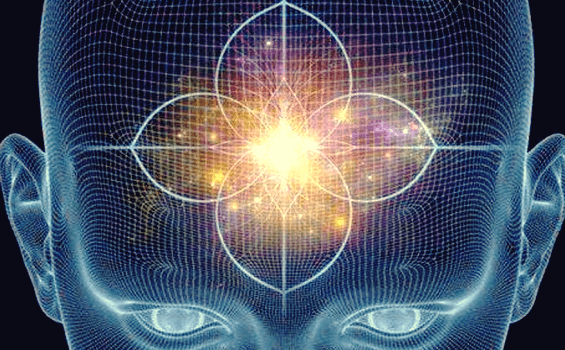 Le ghiandole pituitaria e pineale: consigli