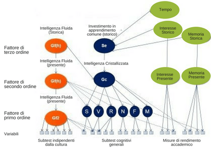 Modello di intelligenza di Cattell