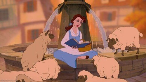 Belle con delle pecore mentre legge