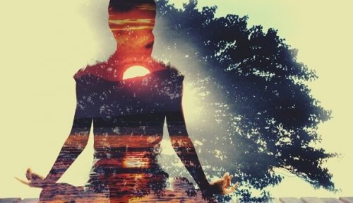 Donna che pratica yoga nella natura