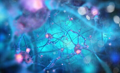 Neurotrasmettitori, neuroni nel cervello