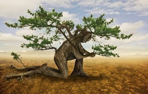 Albero a forma di uomo inginocchiato