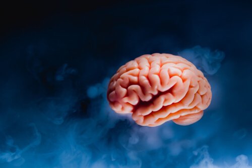 Tsunami cerebrale: il cervello prima di morire