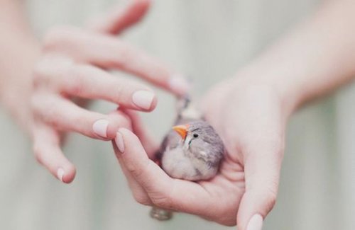 Donna con uccellino fra le mani