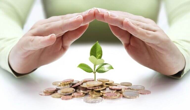 Pianta cresce sui soldi