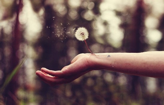 Ferita da tradimento: come sanarla