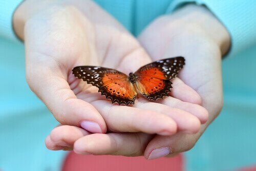 Mani con farfalla