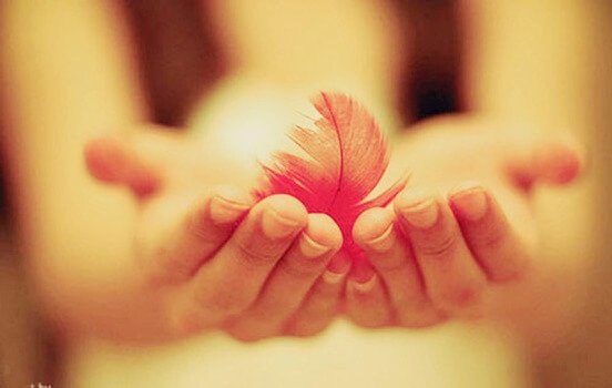 La gentilezza: forza che abbatte qualsiasi muro