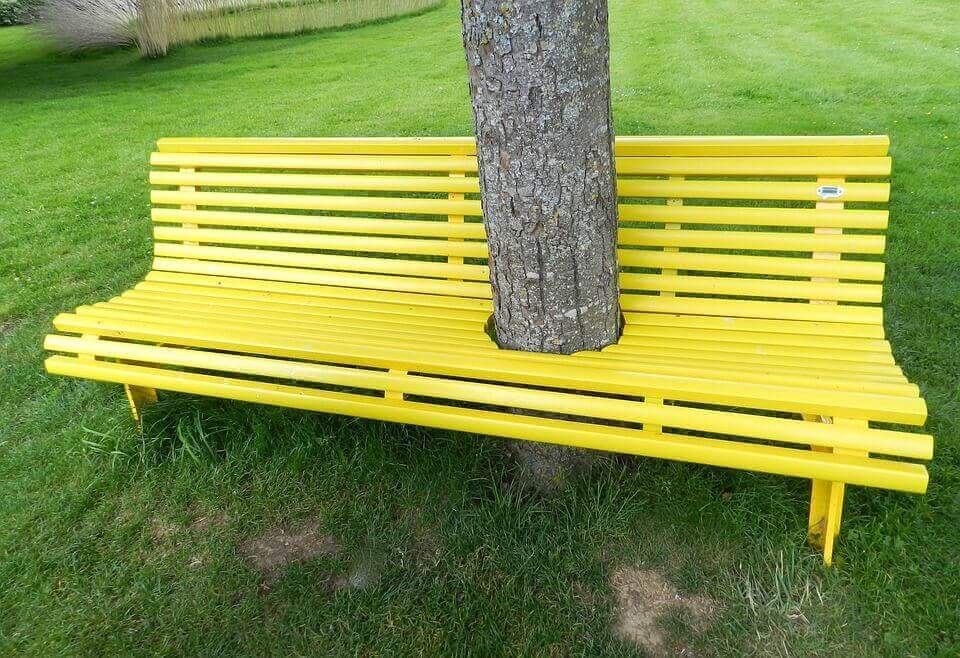 Panchina con tronco d'albero nel mezzo