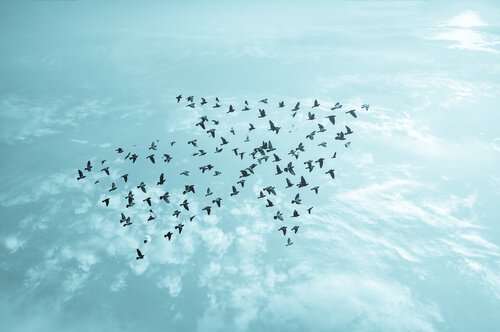 Uccelli in cielo a forma di freccia toccare il fondo