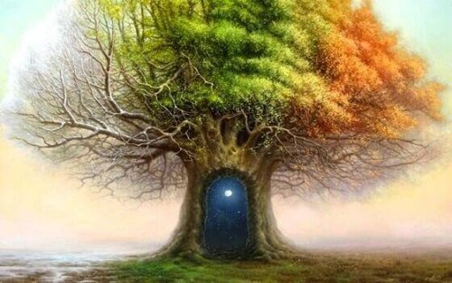 Albero con una porta