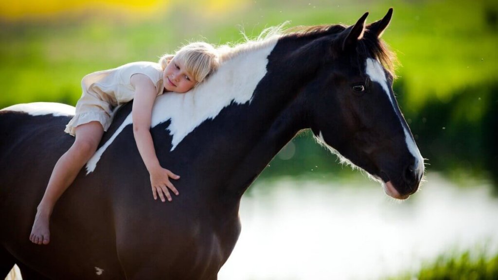 Bambina abbracciata al cavallo