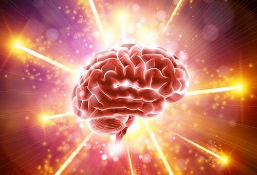 Cervello e luce