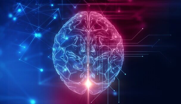 Corteccia orbitofrontale: sede della condotta sociale