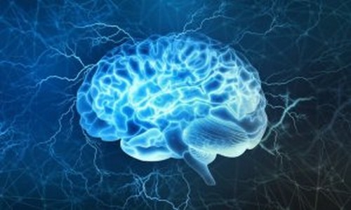 Corteccia prefrontale: interessante area cerebrale