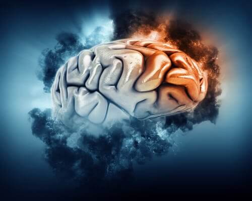 Il lobro frontale del cervello