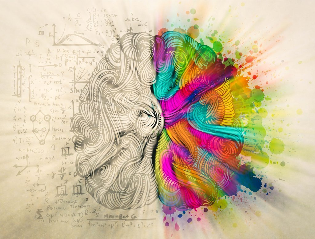 Emisferi del cervello colorati