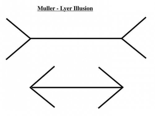 Illusione di Muller