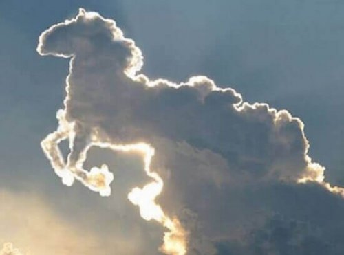 Nuvola a forma di cavallo