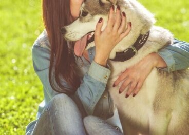 Animali da compagnia: 6 benefici per chi li adotta
