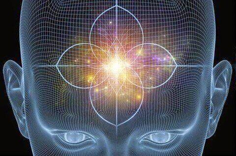 Testa con ghiandola pineale illuminata