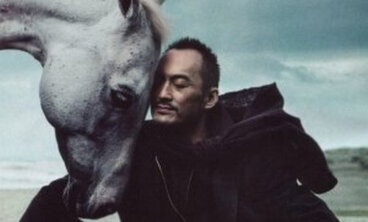 Equilibrio umano: cavaliere razionale e cavallo emotivo