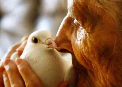 Anziana si prende cura di una colomba