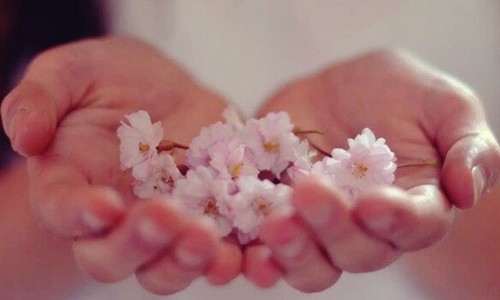 Fiori fra le mani