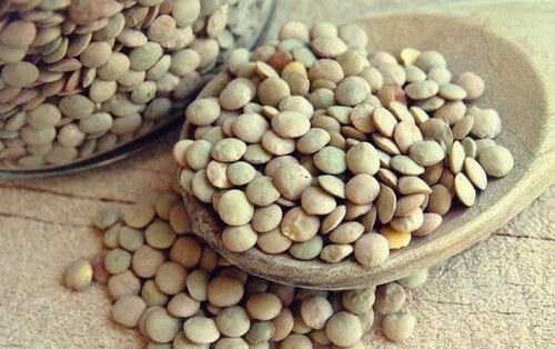 Acido folico: benefici per la salute cerebrale