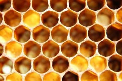 Tripofobia: sintomi, cause e trattamento