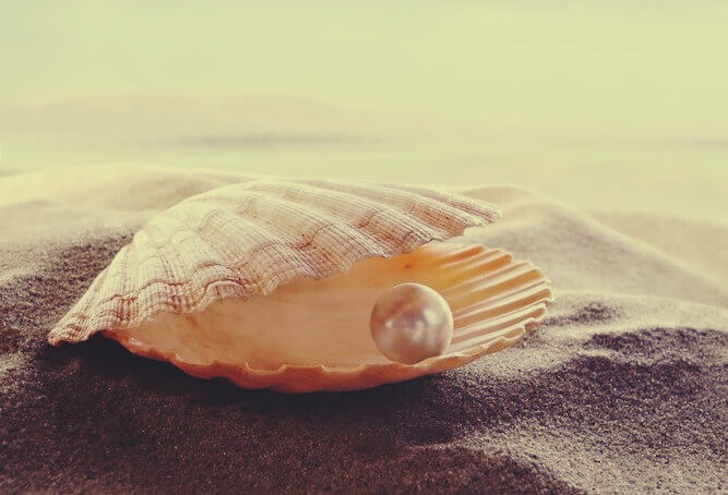 Conchiglia con perla dentro proverbi persiani