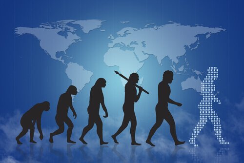 Evoluzione umana dalla scimmia all'uomo attuale