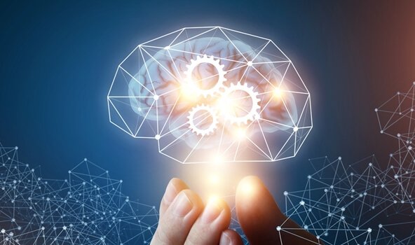 Intelligenza machiavellica: teoria psicologica