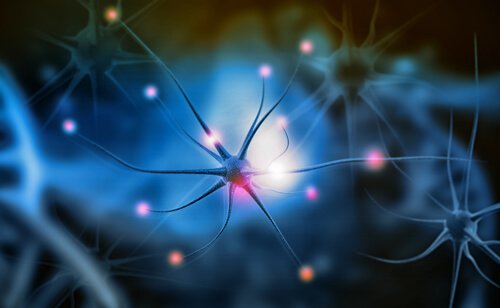 Neuroni rosa su sfondo blu
