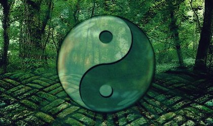 Citazioni del Tao per crescere