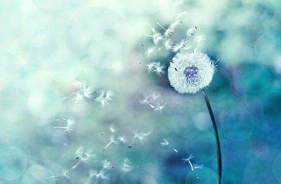 Coincidenze, se si susseguono siamo sulla giusta strada