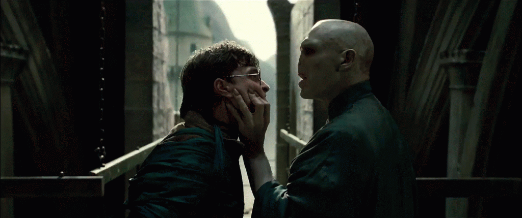 Confronto tra Harry Potter e Voldemort