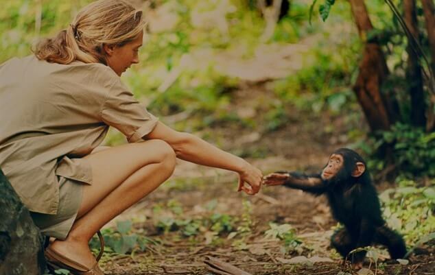 Jane Goodall da giovane