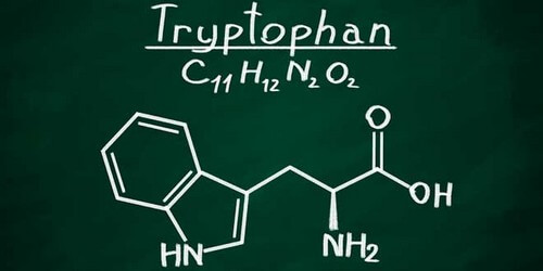 Formula chimica del triptofano