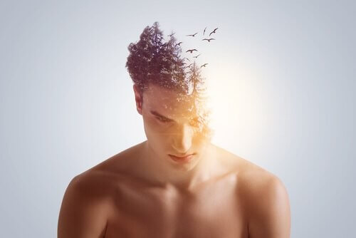 Uomo con alberi e uccelli fra i capelli