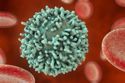 Cellula di linfocito