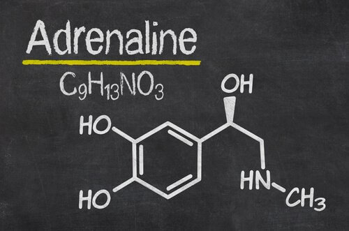 Composizione chimica dell'adrenalina