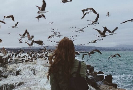 Donna al mare osserva gli uccelli