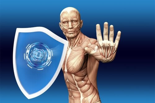 Risposta immunitaria e i suoi componenti