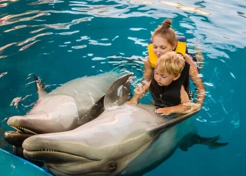 Bambino pratica delfinoterapia