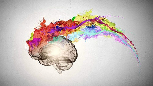 Cervello colorato