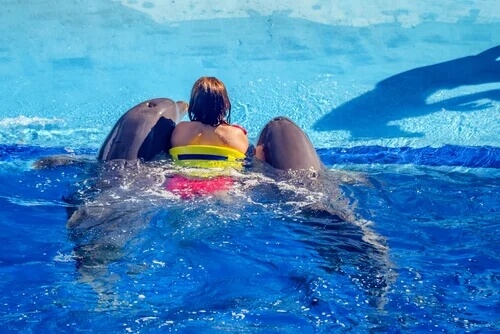 Donna nuota con delfini